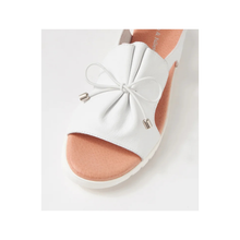 Load image into Gallery viewer, D&J Malika White White