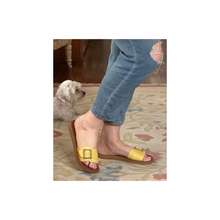 Load image into Gallery viewer, Hinako Wagner Lemon