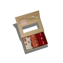 Load image into Gallery viewer, Socks That Stop Violence Against Women: Boxed Collection (Long Socks)