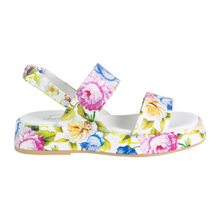 Load image into Gallery viewer, Isabella Fingal Multi