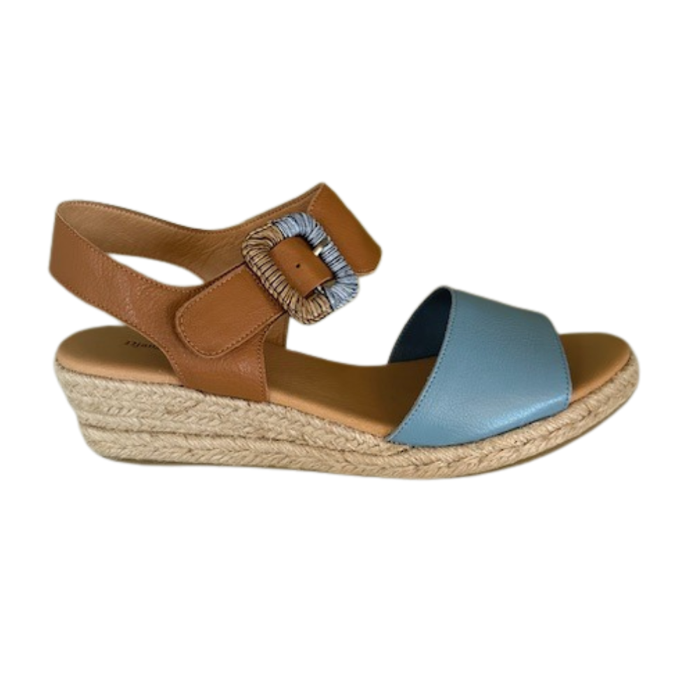 D&J Signy New Blue