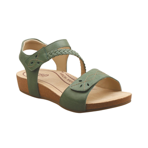 CBD Fogg Olive