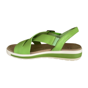 Ziera Ghola Lime