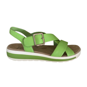 Ziera Ghola Lime