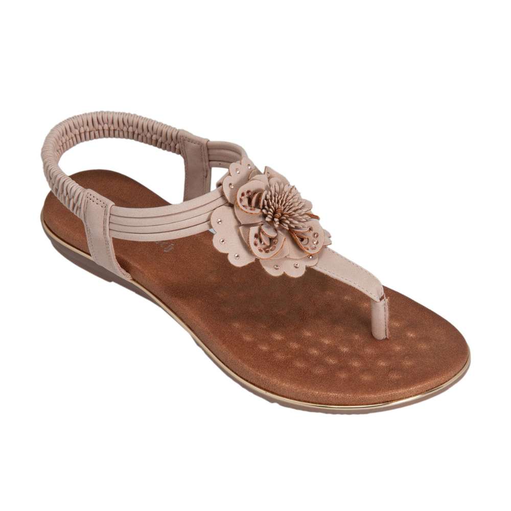 Kirra Beach Sea Blush