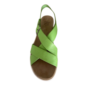 Ziera Ghola Lime