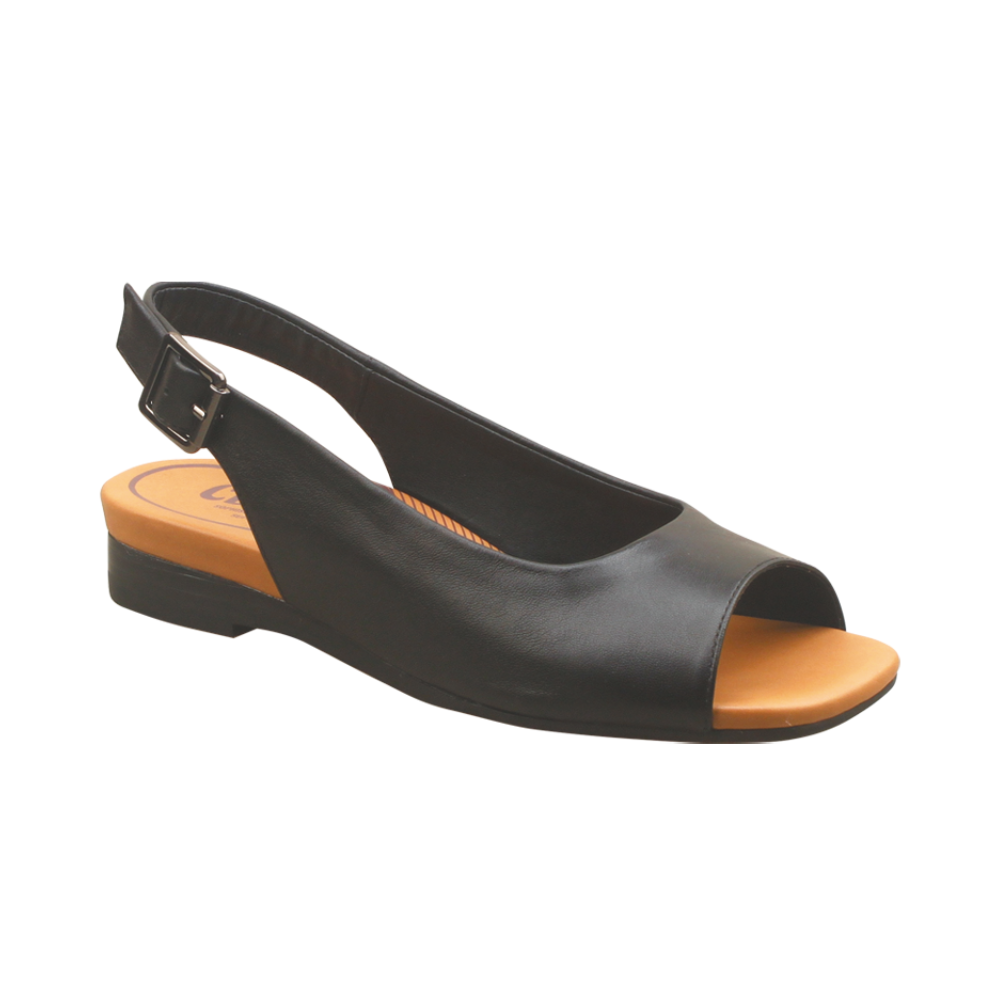 CBD Freda Black