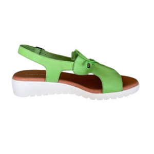 D&J Malika Light Lime