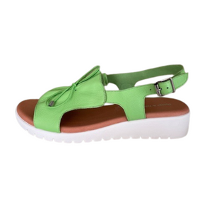 D&J Malika Light Lime