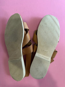 PL Hush Puppies Duomo Size AU12